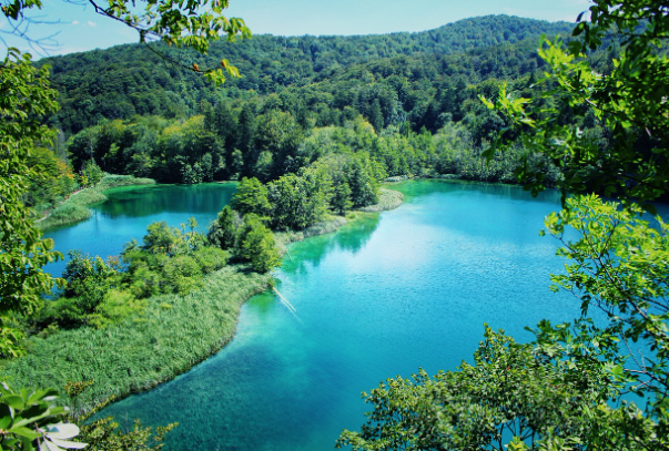 크로아티아 캐리어