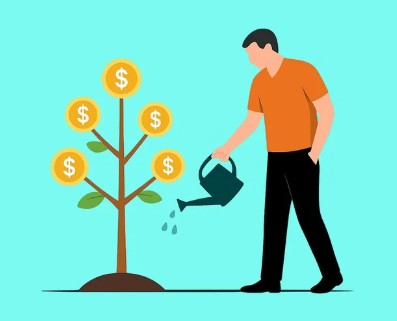 배당주 돈나무 사진