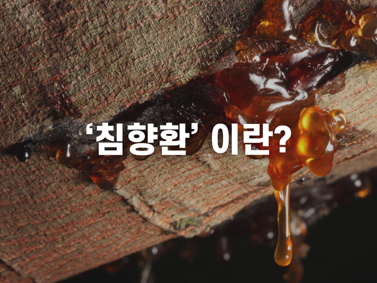 침향환이란