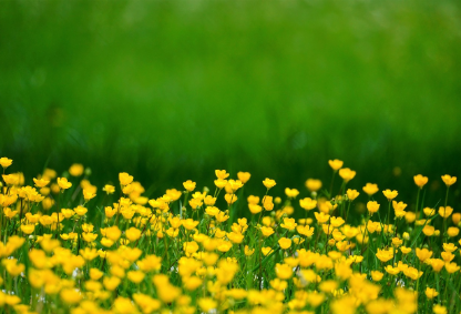 봄 제철 채소로 만든 일주일 반찬표