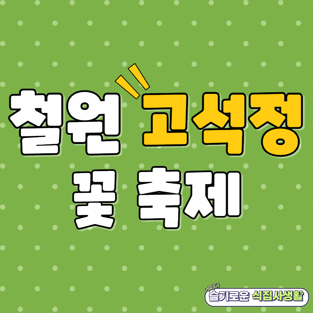 철원 고석정 꽃축제