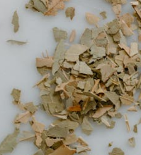 녹용 먹을 때 주의점 I 녹용 효능I 녹용 가격 및 구매시 주의할 점