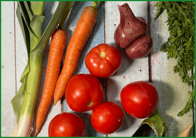 농할상품권 사용처 및 구매 (9월)