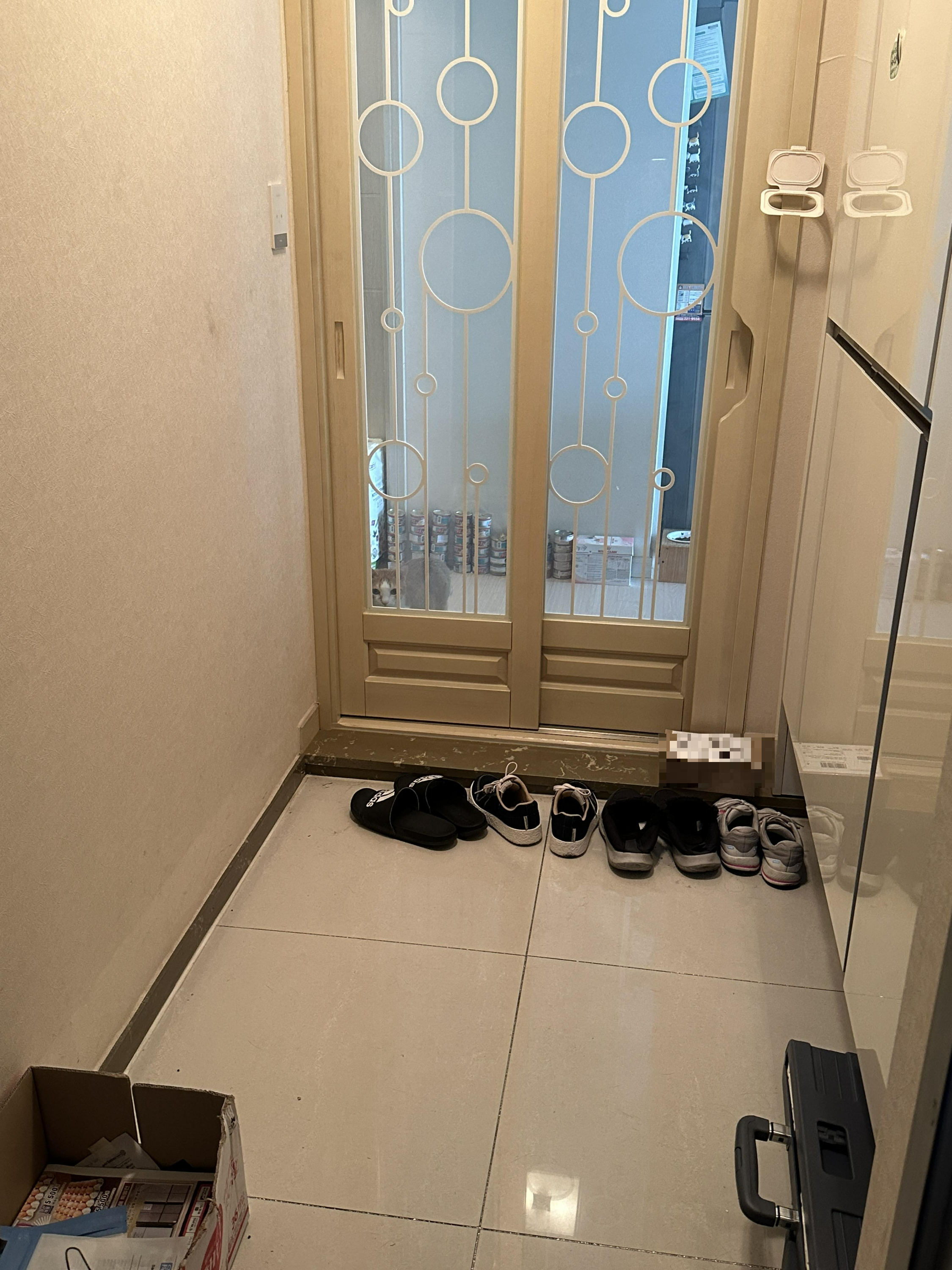 냥냥이들 화장실을 교체했다!(feat.화장실을 교체 해야 하는 이유)