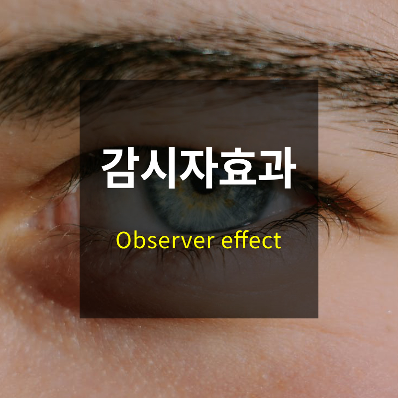 감시자 효과