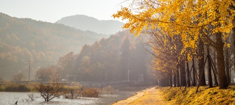 [단풍명소] 가을 여행지 베스트 50 - 서울, 경기도, 충남, 충북, 경북, 경남, 전남, 전북, 강원도, 제주