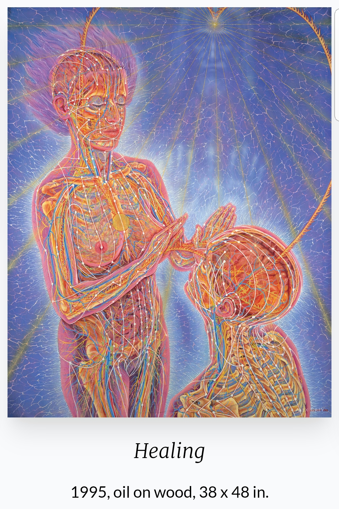 알렉스 그레이(Alex Grey, 1953~ ) 작품
 'Healing'