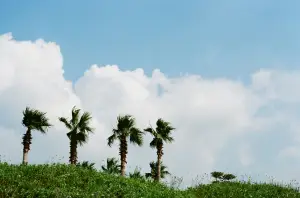 제주도 렌트카 저렴한곳