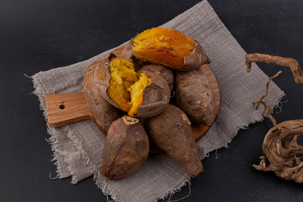 고구마-심는-시기