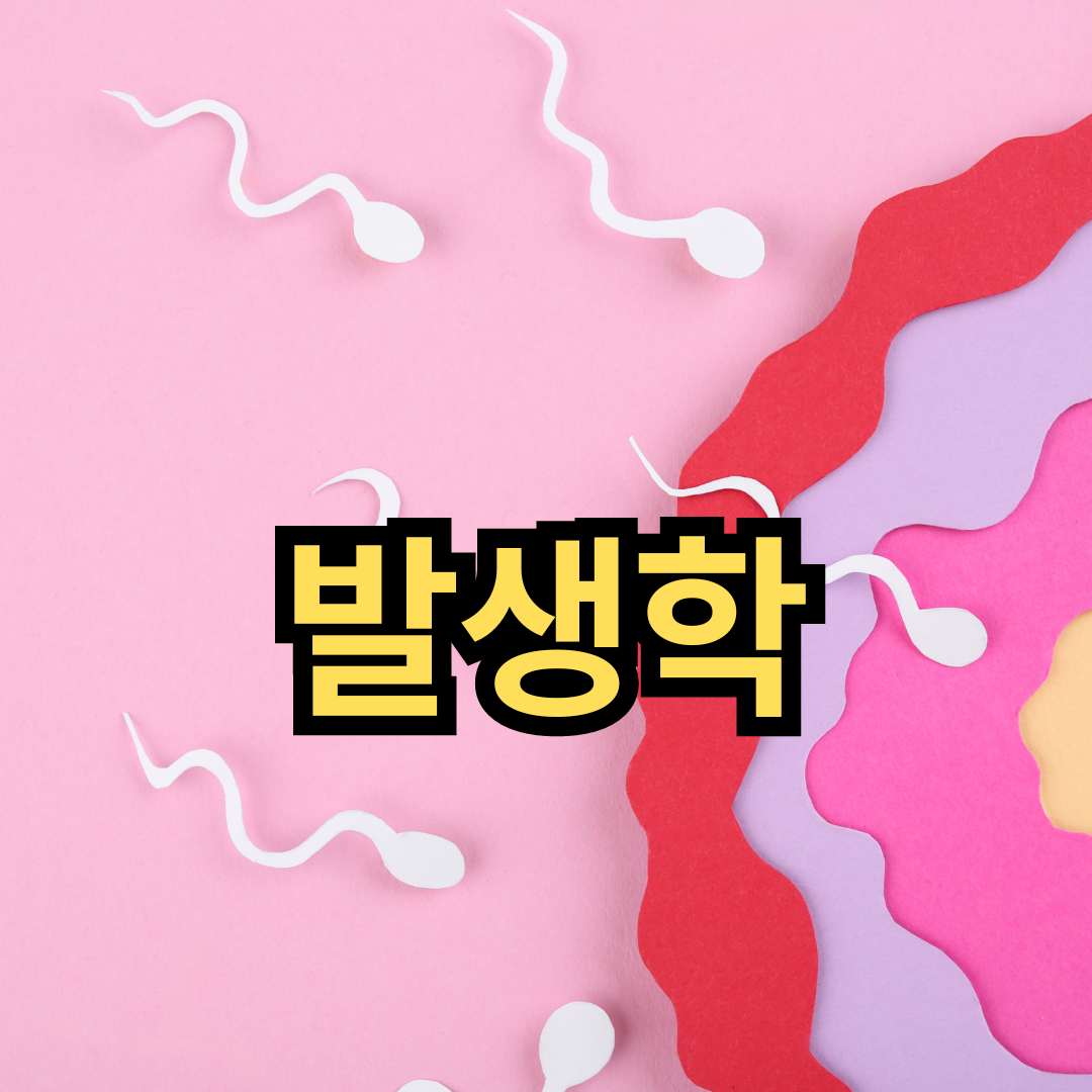 발생학