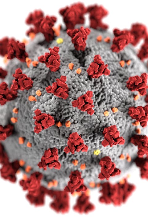바이러스 정의 및 생존 특성