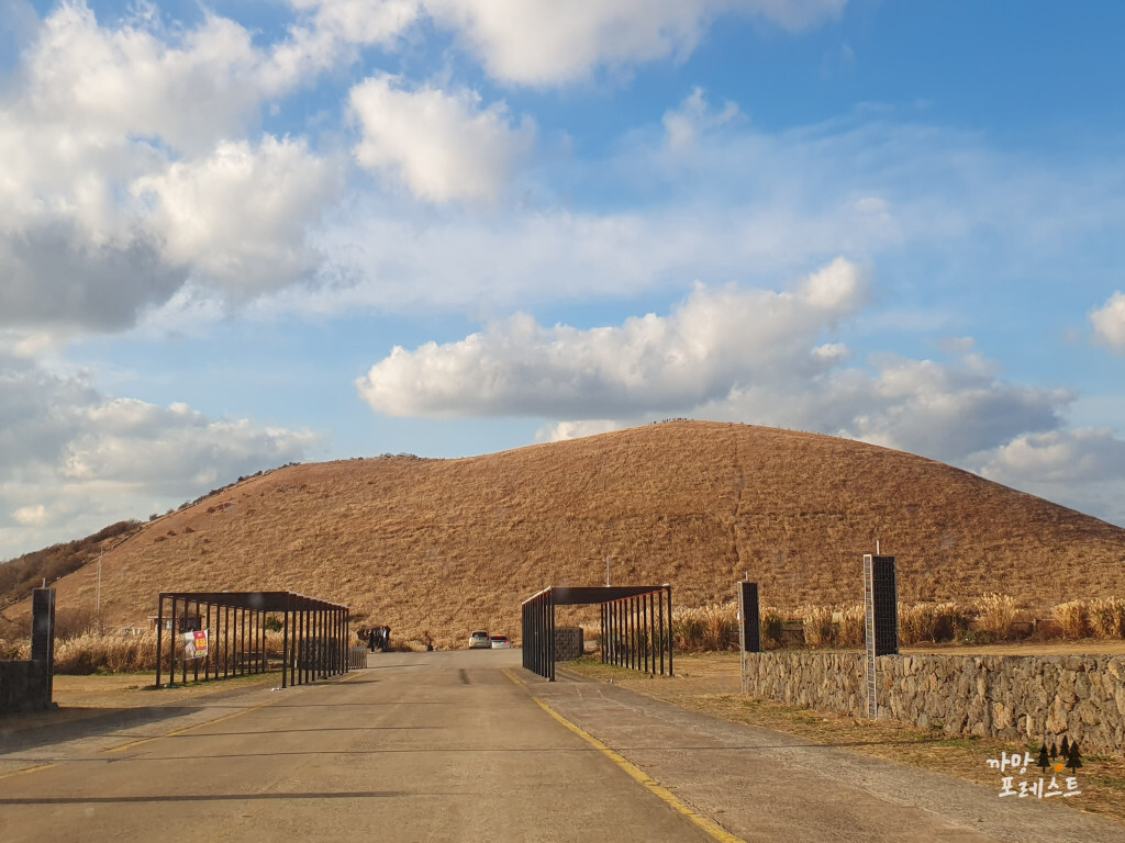 제주 새별오름