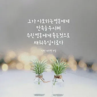 시편 91장 11절 읽기 - 그가 너를 위하여 그의 천사들을 명령하사_26