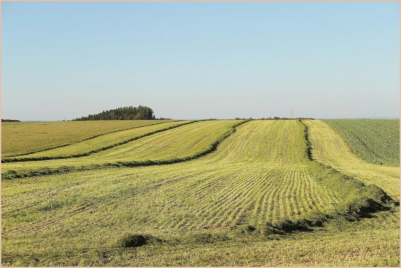 기업은행 정기예금 금리