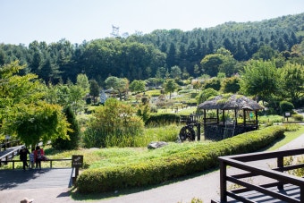 용인 농촌테마파크 관련