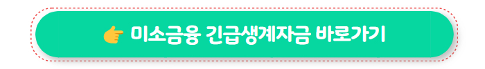 정부지원대출 미소금융 긴급생계자금