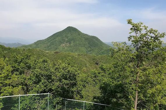 노아의숲