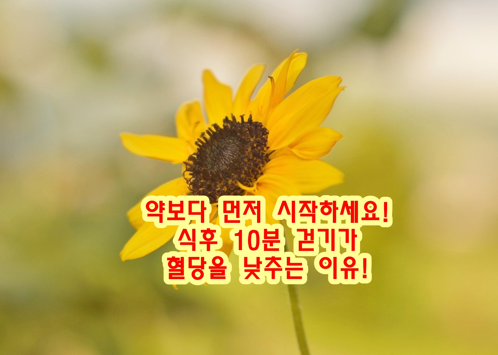 약보다 먼저 시작하세요! 식후 10분 걷기가 혈당을 낮추는 이유!