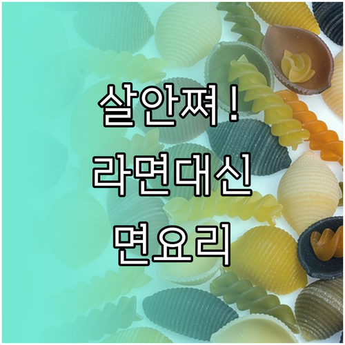 라면 대신 즐기는 곤약면 두부면 저칼..