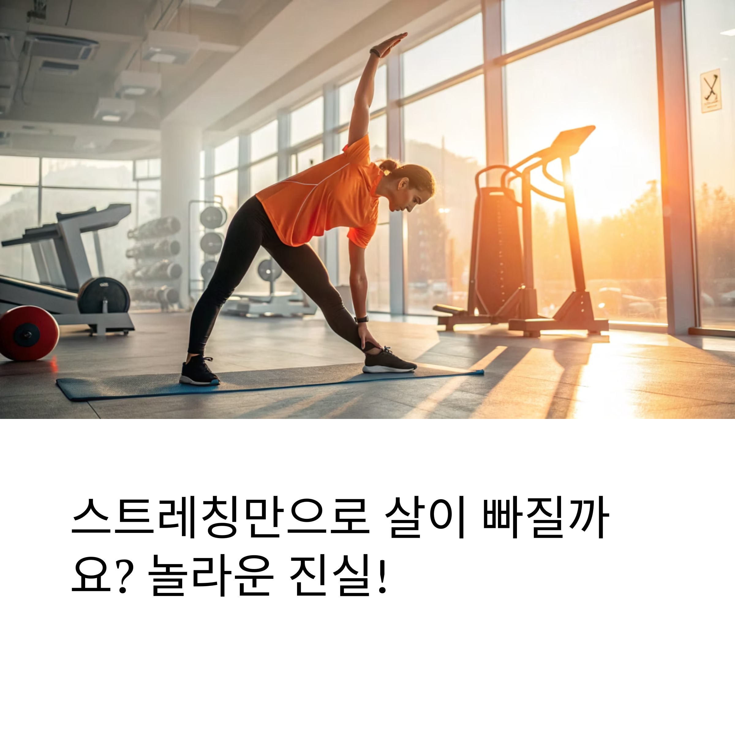 운동 전 스트레칭