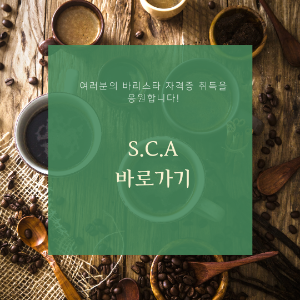 SCA 바로가기