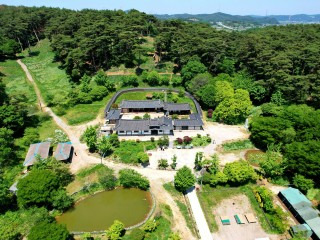 서산 유기방가옥 수선화 축제 기간 개화 총정리