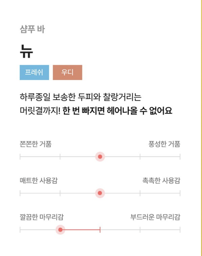 고체 샴푸 추천
