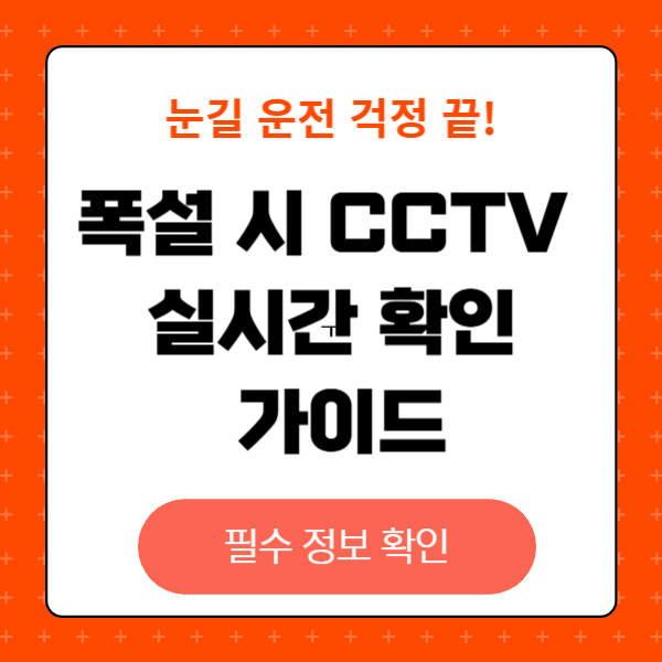 폭설 시&nbsp;CCTV&nbsp;실시간 확인 &nbsp;가이드, 폭설 시 도로 안전 운전 팁