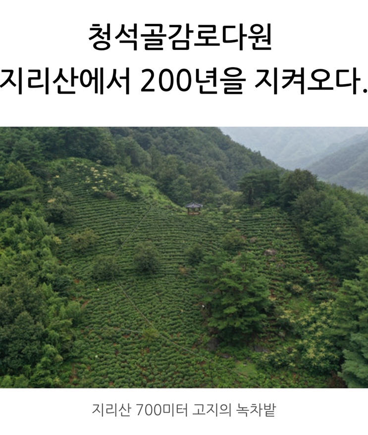 하동-황인수-명인-청석골감로다원