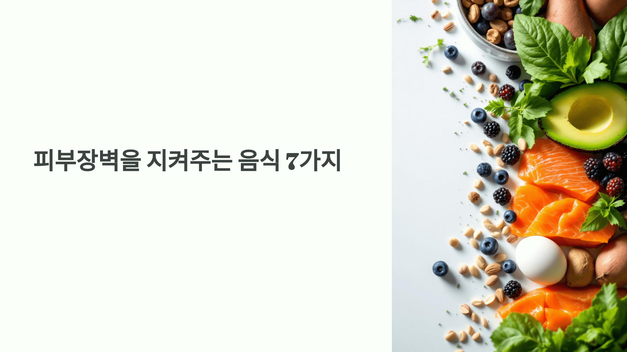 피부장벽을 강화시켜주는 음식