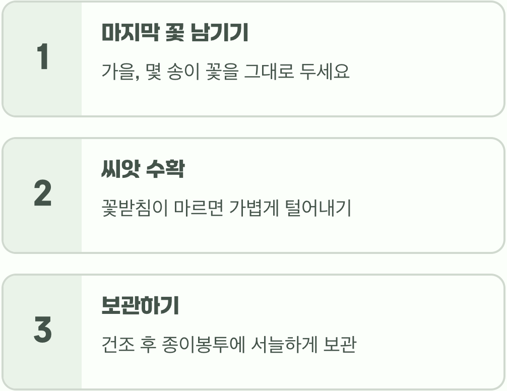 다음 해를 기약하는 씨앗 받기