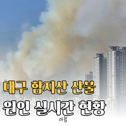대구 함지산 산불 원인 실시간 상황 대피 주의사항