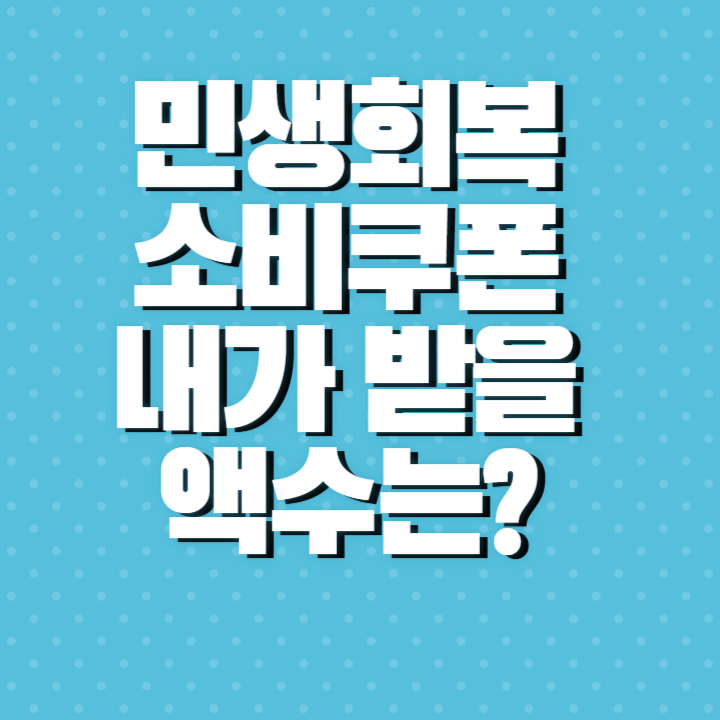 내가 받을 소비쿠폰