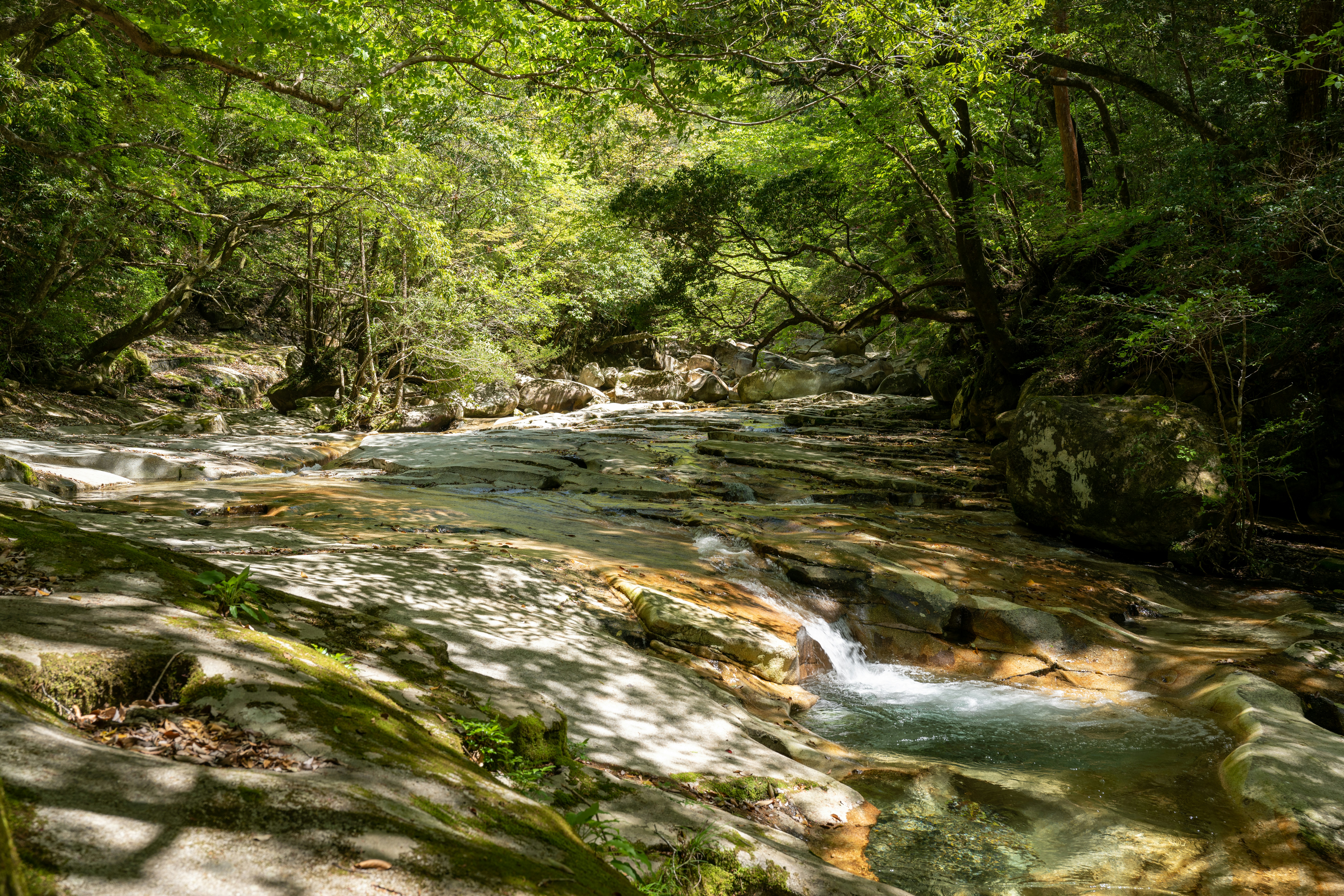 가족과 함께 즐기기 좋은 계곡