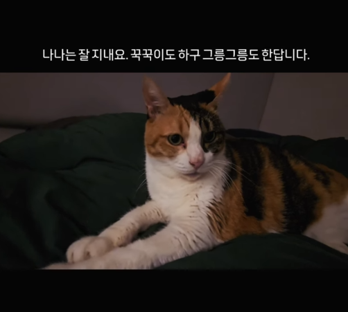 고영희식당 나나
