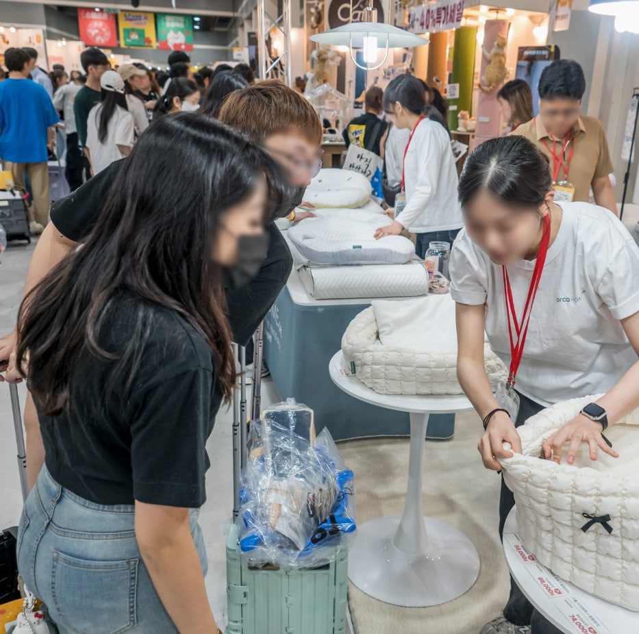 2024 궁디팡팡 캣페스타 사전예매 50% 할인받기 (일산 9/6~9/8)