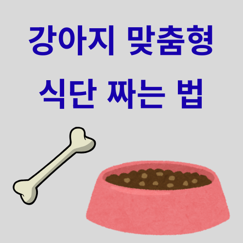 강아지 맞춤형 식단 짜는 법 &ndash; 초보 집사도 쉽게!