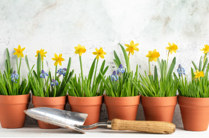 2025년 실내 정원 트렌드 🌿: 지속 가능성과 혁신적인 아이디어