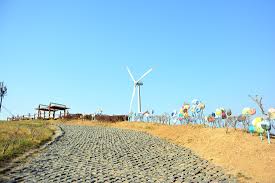 영덕 가볼만한곳 베스트10 - 영덕 풍력발전단지