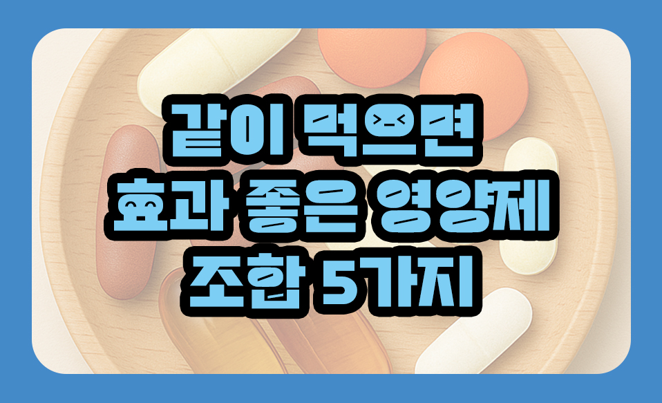 같이 먹으면 효과 좋은 영양제 조합 5가지 총정리