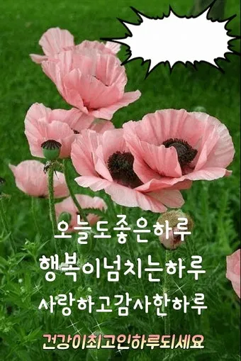 위로와 격려 인사 따뜻한 말 한마디 어르신 맞춤 표현 모음_20