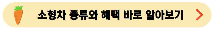 소형차-종류와-혜택