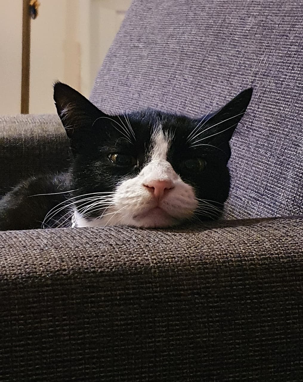 지루함은 뇌의 ‘주의 회로’가 느끼는 경고음