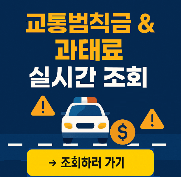 교통범칙금 과태료 실시간 조회하기