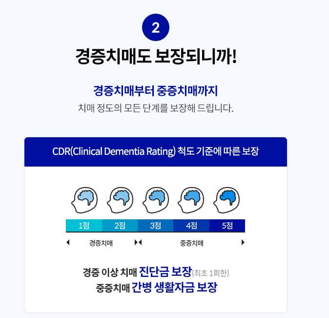 라이나 생명 더든든한 간병치매보험