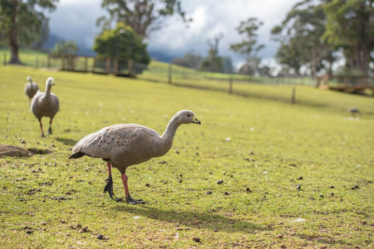 8월 해외여행지 추천