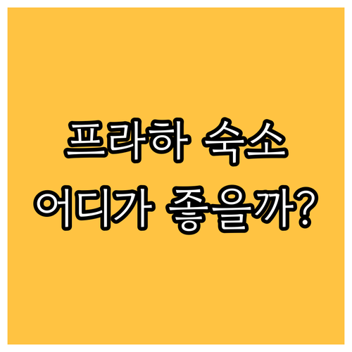 아달베르트 에코호텔 vs 캠프 즈반 