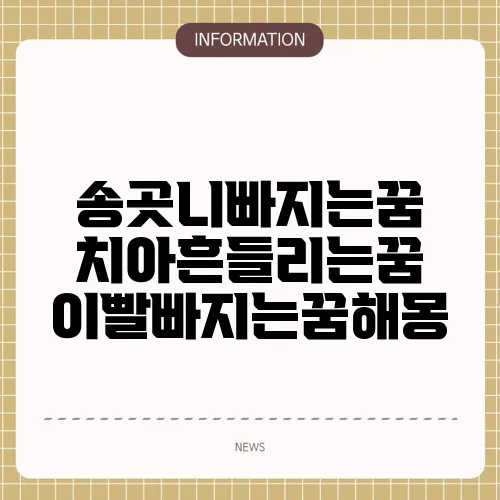 송곳니빠지는꿈 치아흔들리는꿈 이빨빠지는꿈해몽