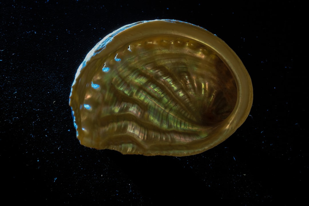 Asteroid