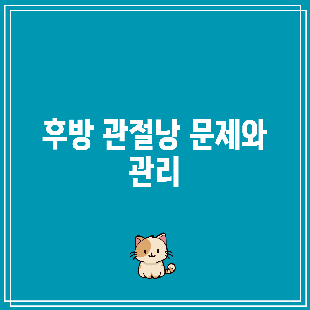 후방 관절낭 문제와 관리
